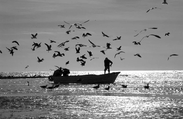 Paisaje blanco y negro 10