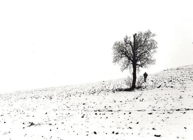 Paisaje blanco y negro 14