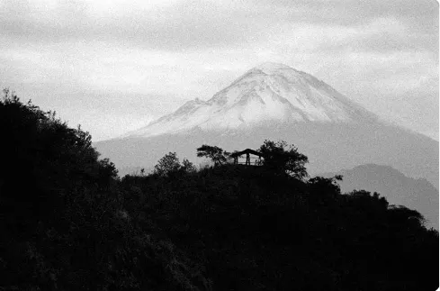 Paisaje blanco y negro 15