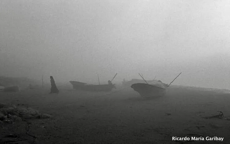 Paisaje blanco y negro 17