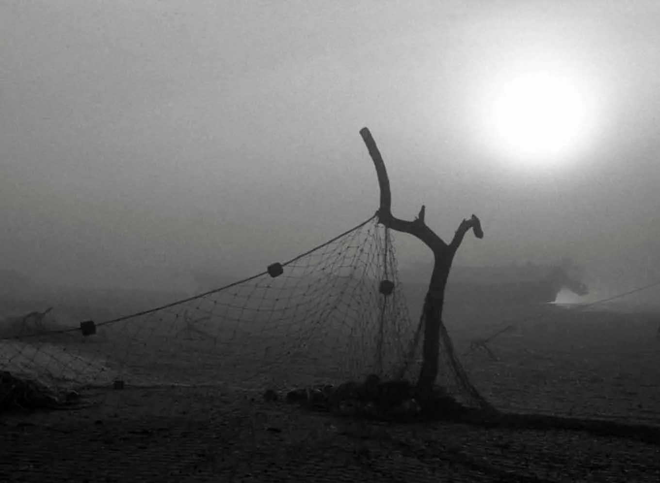 Paisaje blanco y negro 19