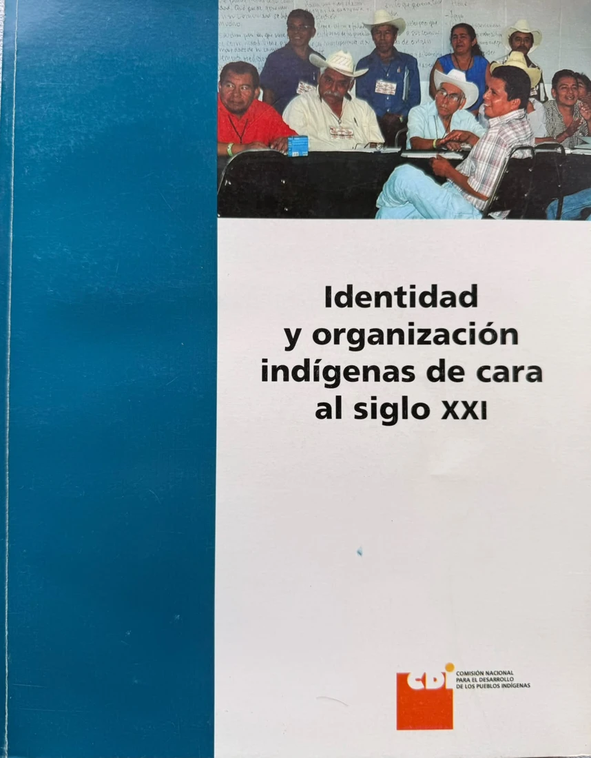 Vista previa de Identidad y organización indígenas de cara al siglo XXI