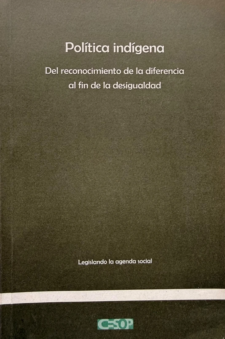 Vista previa de Política indígena: del reconocimiento de la diferencia al fin de la desigualdad